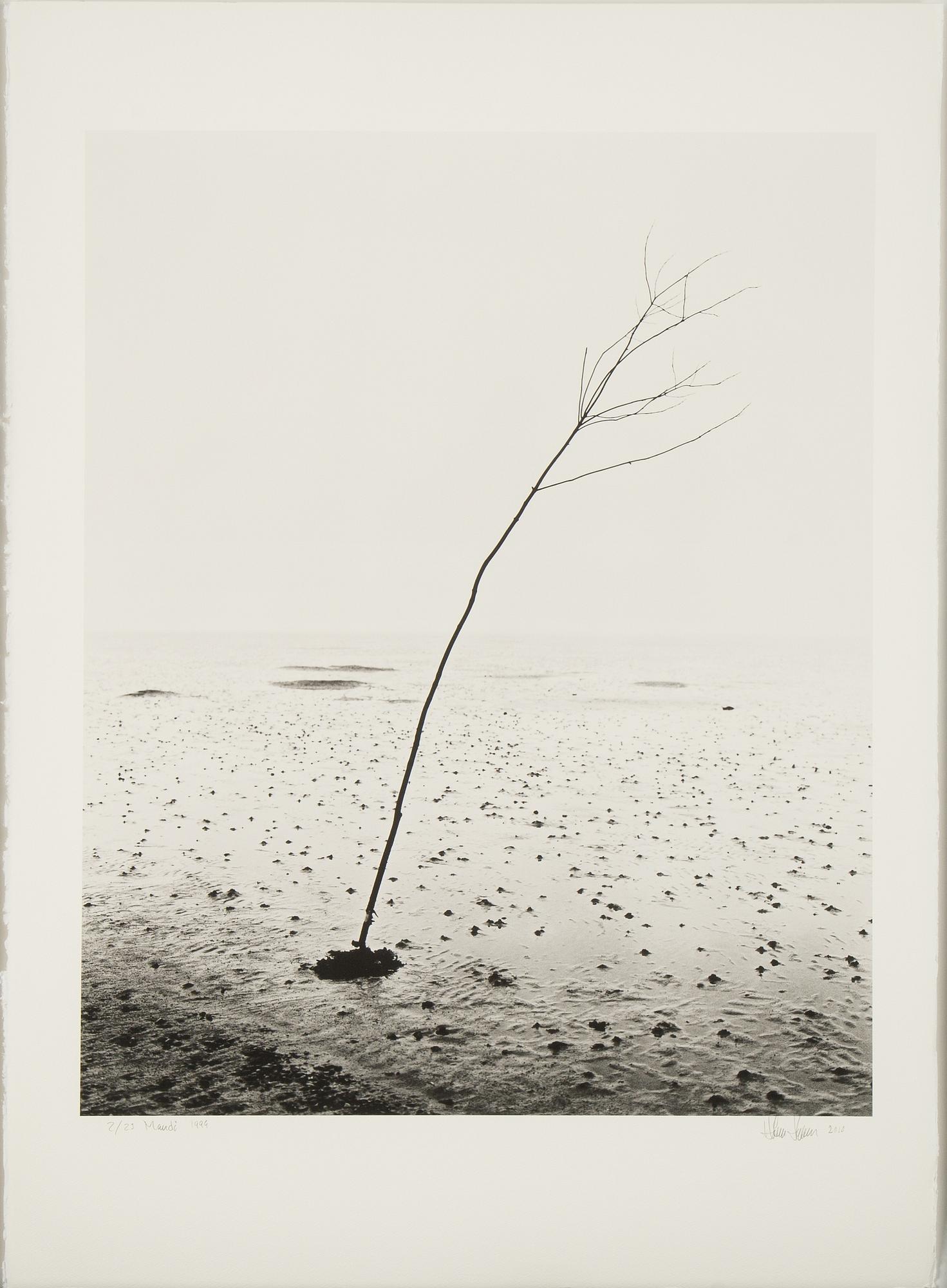 Håkan Ludwigson, photograph signed and numbered 2/25.