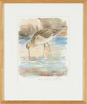 Lars Jonsson, "Brushane".