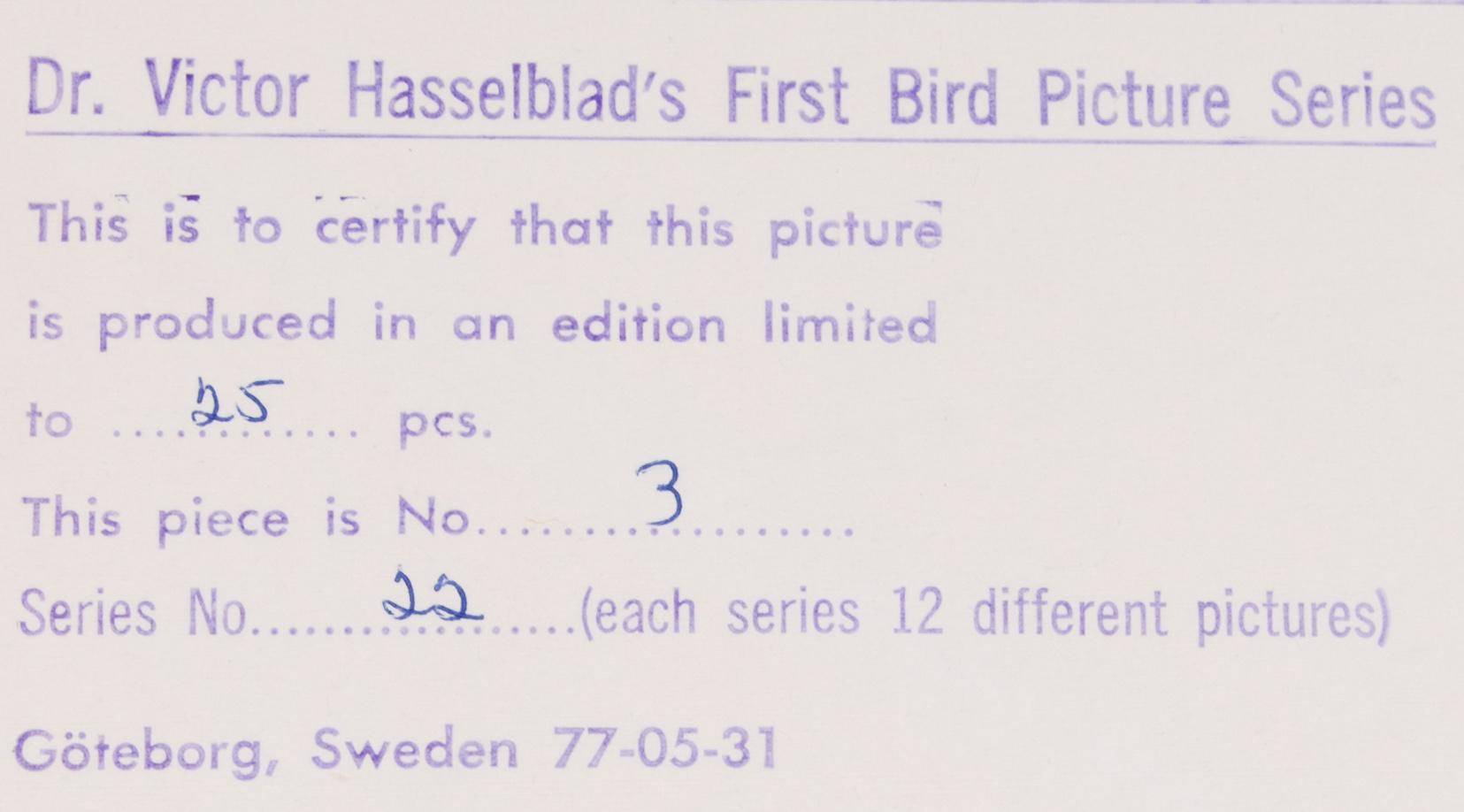 VICTOR HASSELBLAD, fotografier, 12 st, signerade, daterade och numrerade, ur serien nr 22.