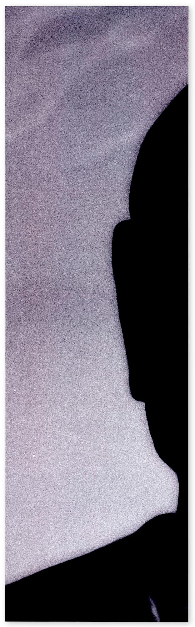 Mike & Doug Starn (Starn Twins), "Ganjin Head Lambda (positive)", 2000-2004.