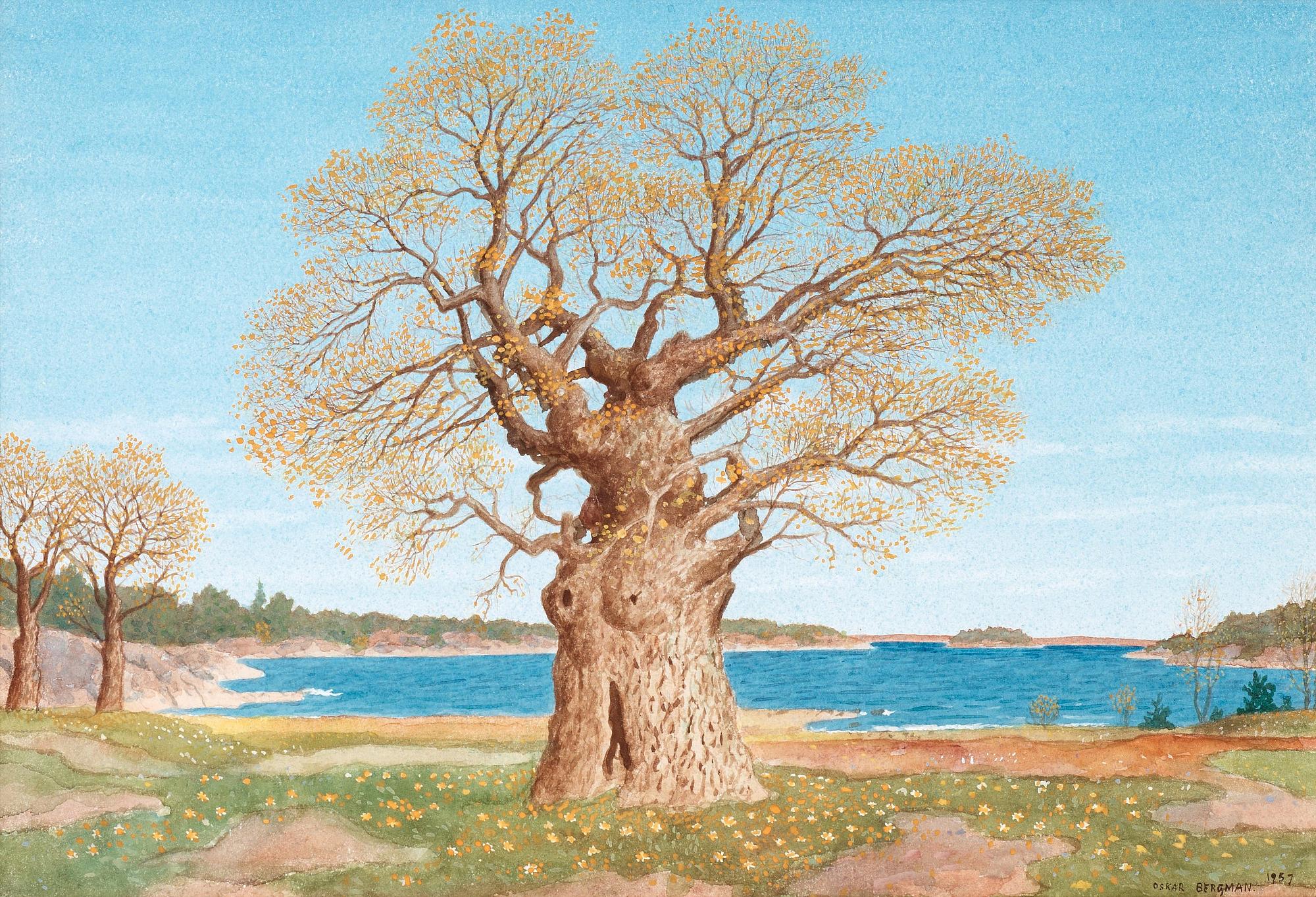 Oskar Bergman, Oak tree in fall.