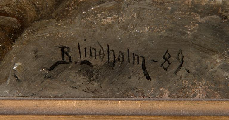 Berndt Lindholm, Rantakallioita.