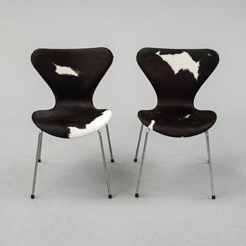 Arne Jacobsen, a set of six 'Serie 7' chairs for Fritz Hansen, Denmark, second half of the 20th Century.