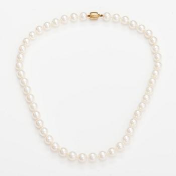 A pearl collier with ajoya pearls and a 14K gold clasp. Torbjörn Tillander, Helsinki 2015.