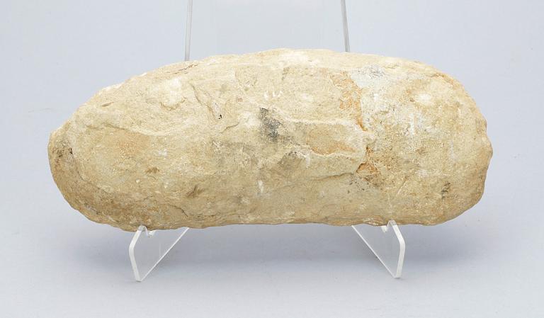 FOSSIL. Fiskfossil.