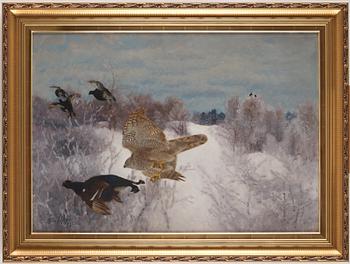 Bruno Liljefors, Northern goshawk attacking black grouse.