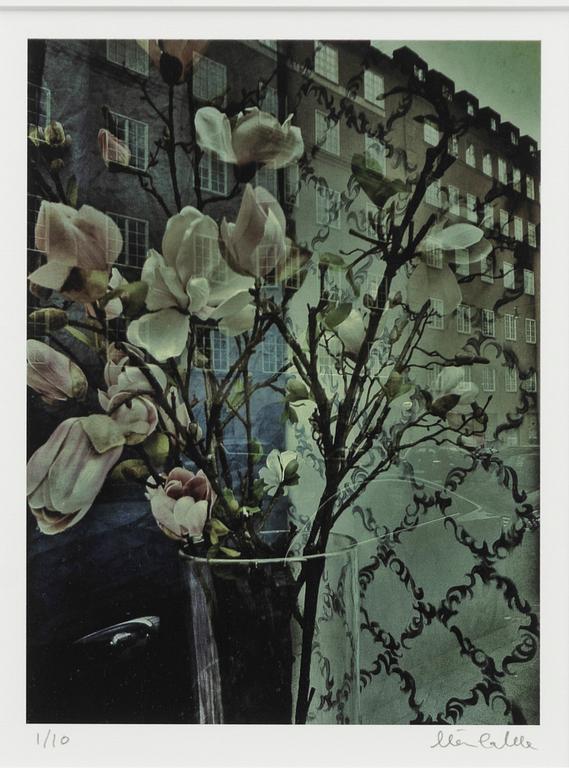 Mia Galde, Untitled.