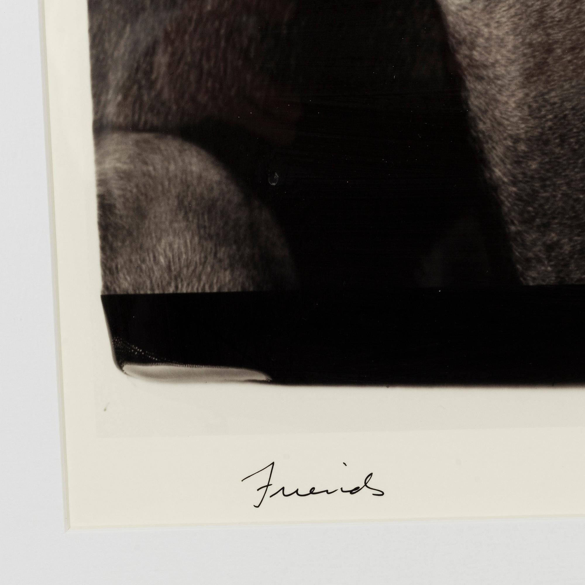 William Wegman,  archival pigment print, 2009, signed. From the ed of 1500.