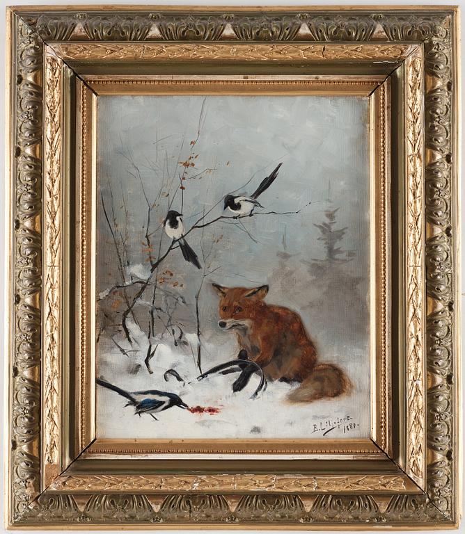 Bruno Liljefors, Trapped Fox.