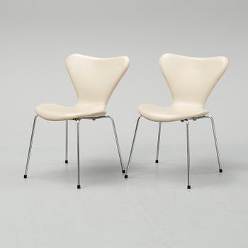 Arne Jacobsen, stolar, 6 st, "Sjuan", Fritz Hansen, Danmark.