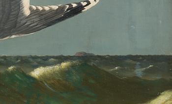 Ferdinand von Wright, Diving Seagull.