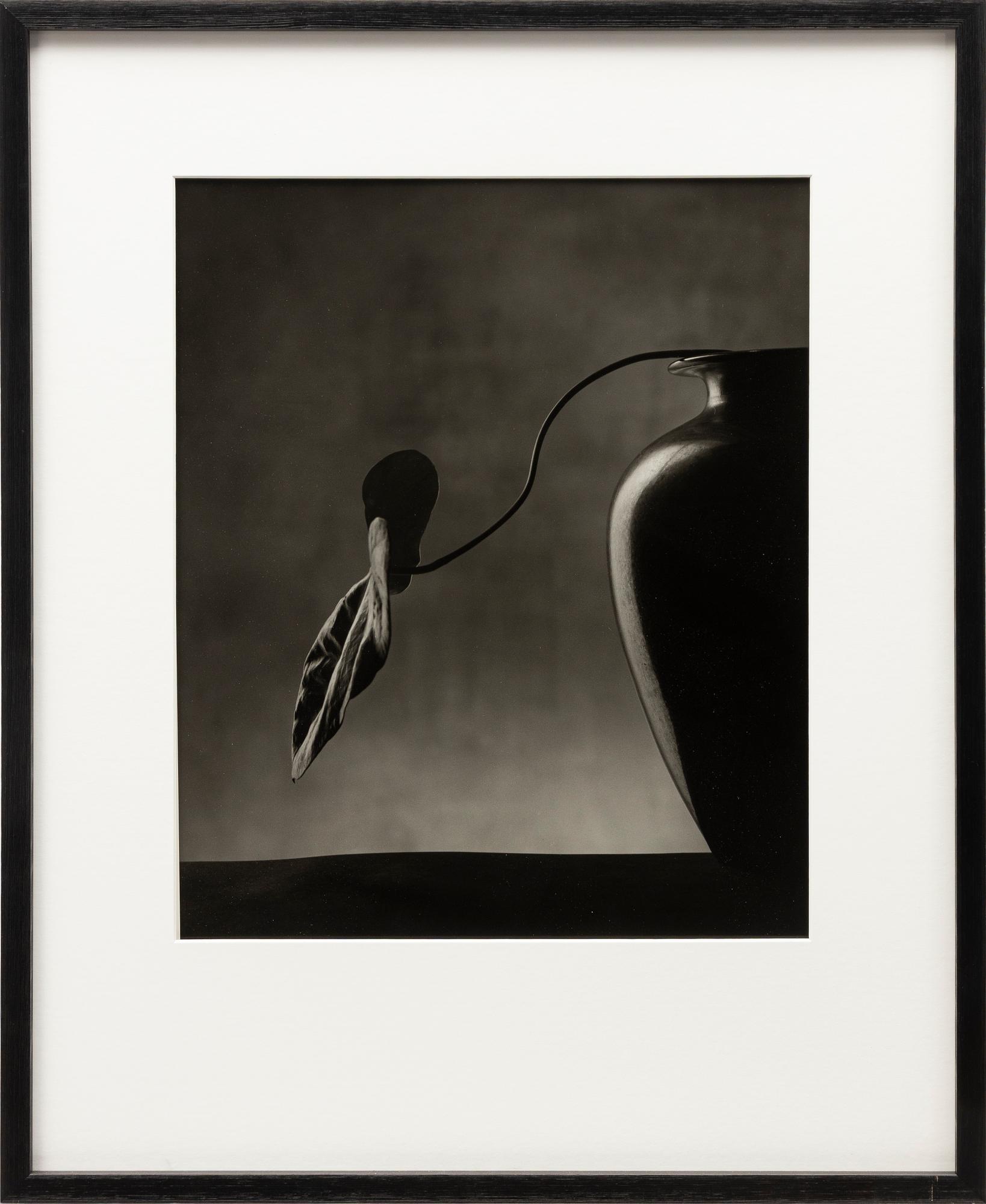 Christian Coigny, "Vase Noir", 1988.