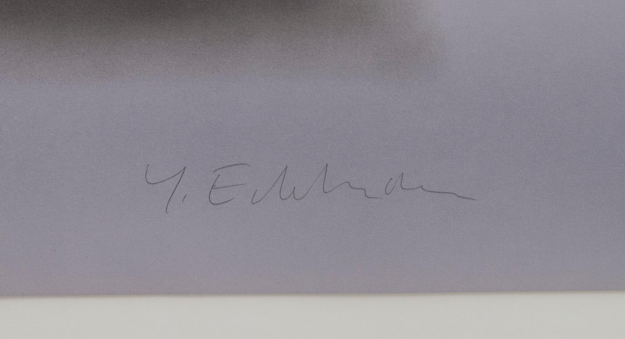 YRJÖ EDELMANN , färglitografi, signerad och numrerad HC 10/50.