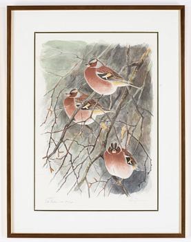 Lars Jonsson, färglitografi, signerad och numrerad 169/215.