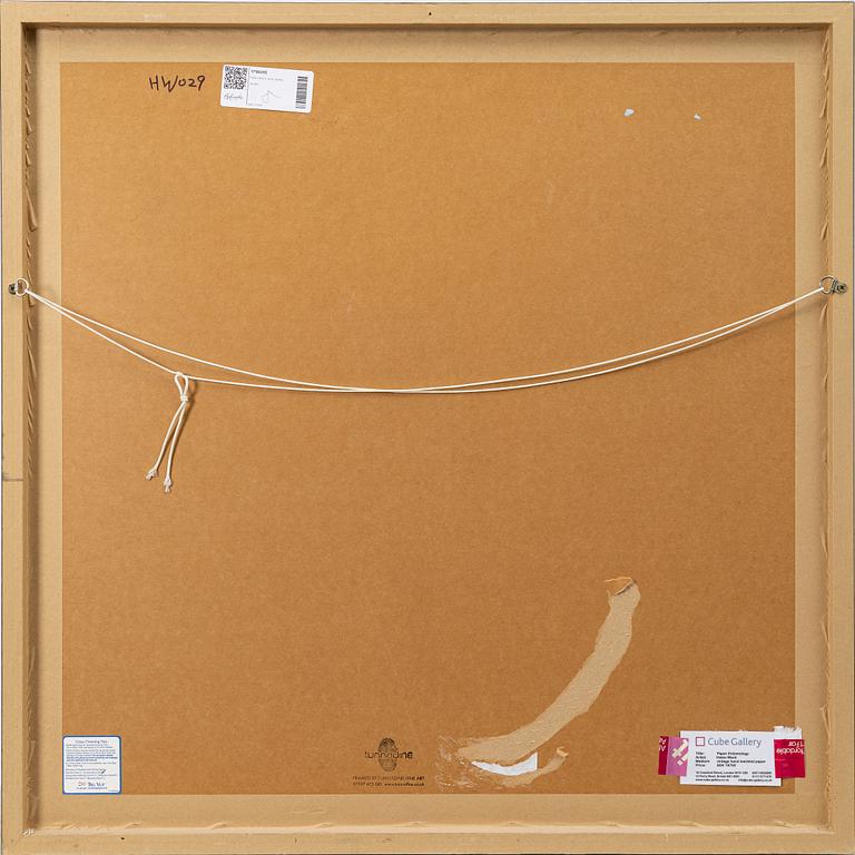 Helen Ward, "Paper Entomology".