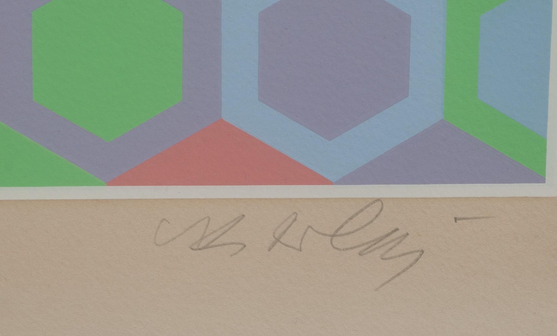 VICTOR VASARELY, färgserigrafi, signerad och numrerad 225/250.