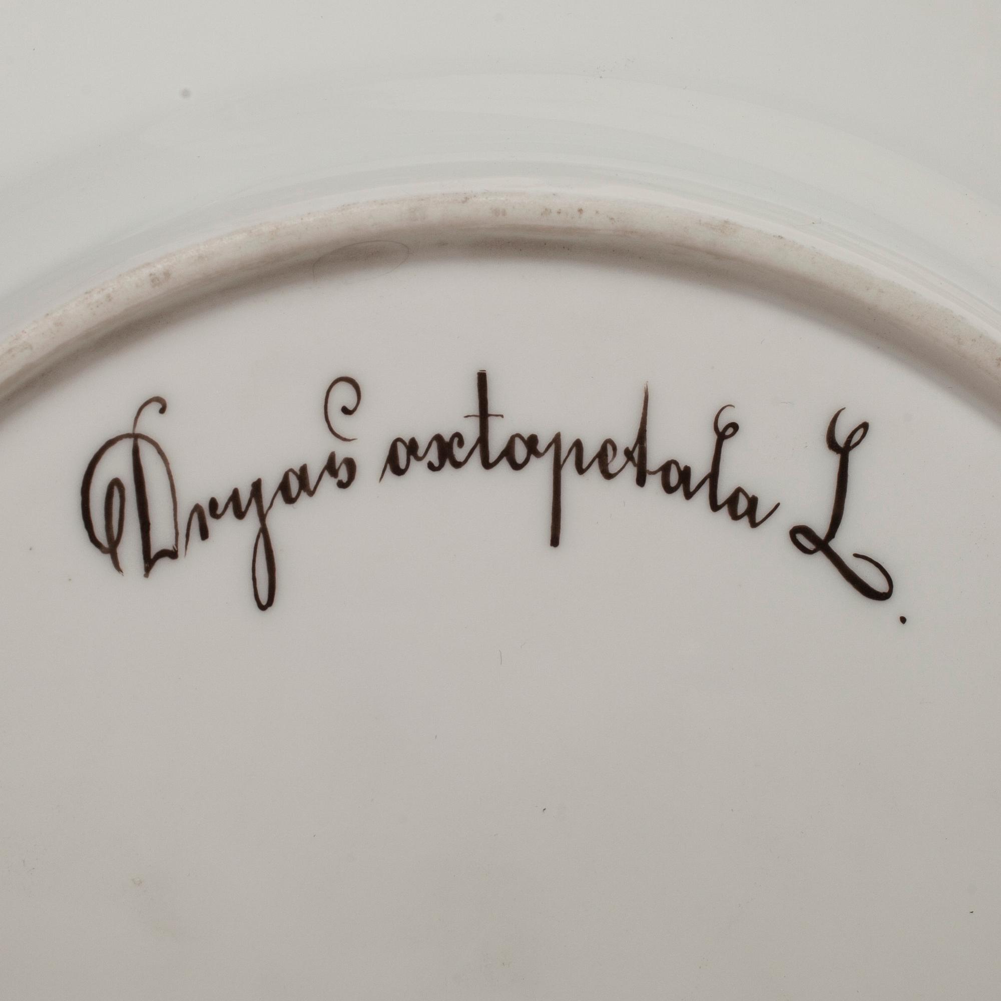 TALLRIKAR, 4 st, porslin, Flora Danica, Royal Copenhagen, 1960-tal.