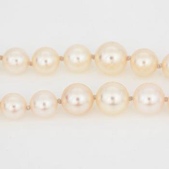 Two strands of graduated cultured pearls. Ø 3 - 7.5 mm.