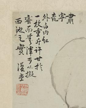 An album page, ink and colour on paper, after Li Shan (1686-1756/62).