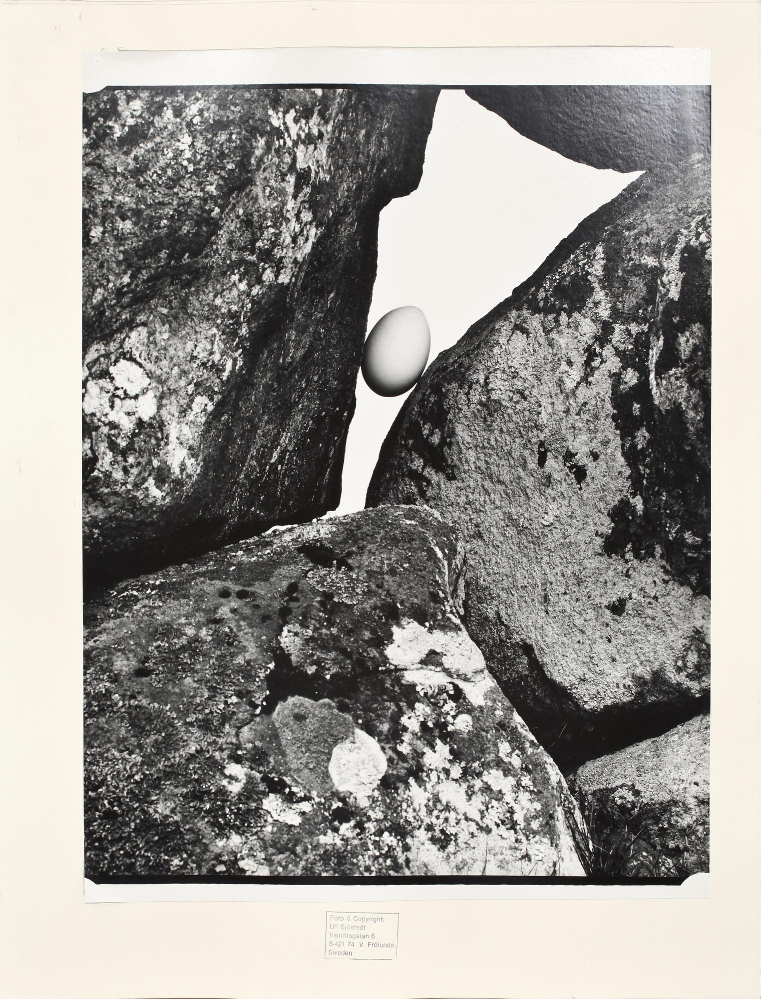 ULF SJÖSTEDET, fotografi, sign o dat 1981.