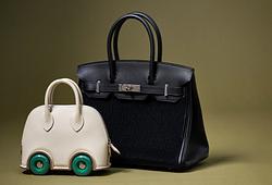 Selected Premium Handbags E1231