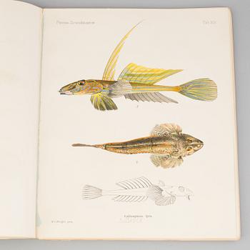 BOOK, "Scandinavien Fishes", B. Fries, C.U Ekeström, C Sundevall. No 0170. Dated 1895.