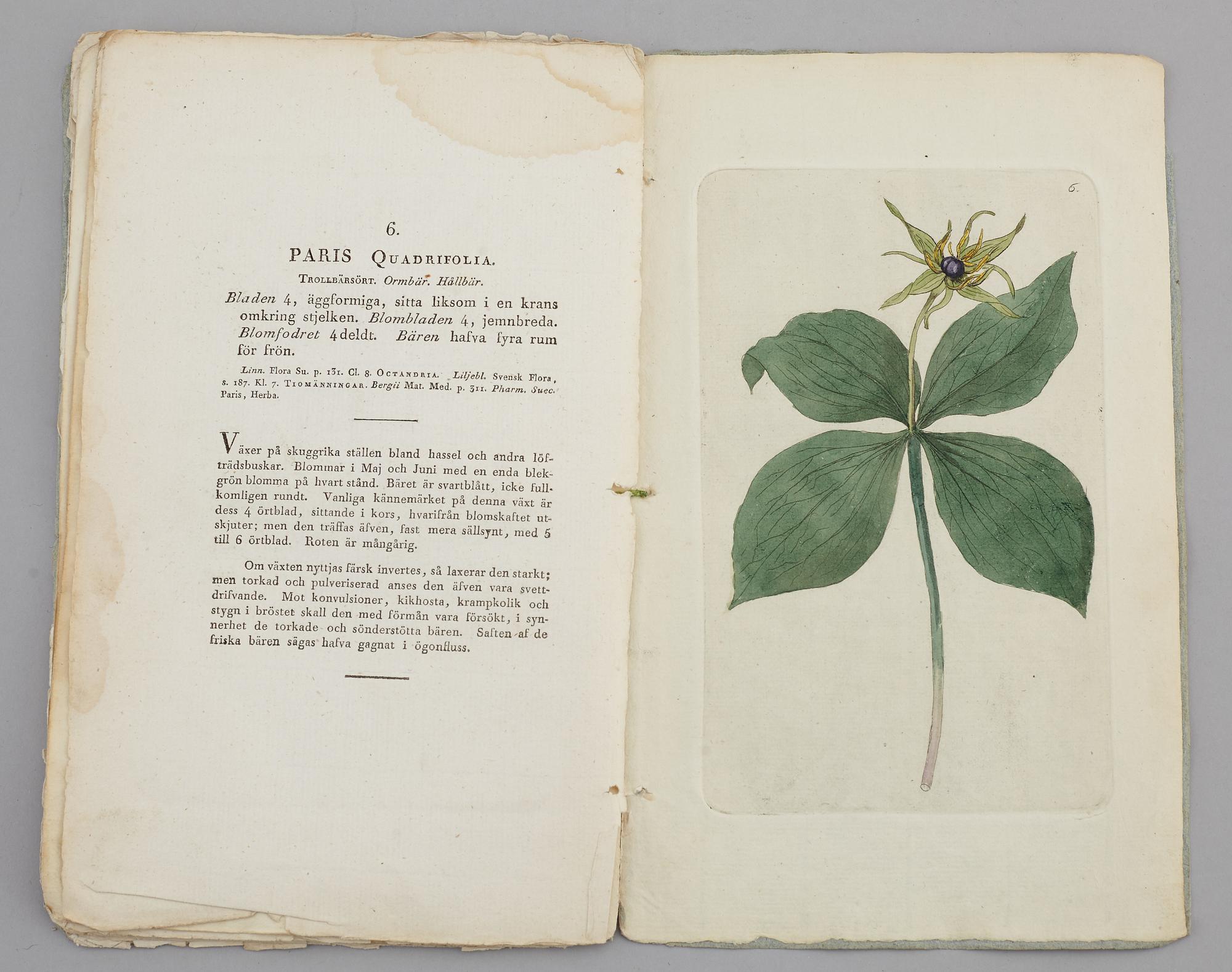 JOHAN WILHELM PALMSTRUCH, "Svensk Botanik, vol I-V. 1803-1805.