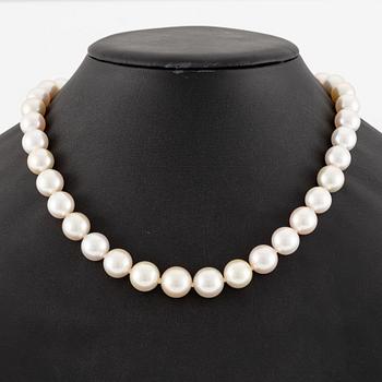 A necklace with cultured South Sea pearls.