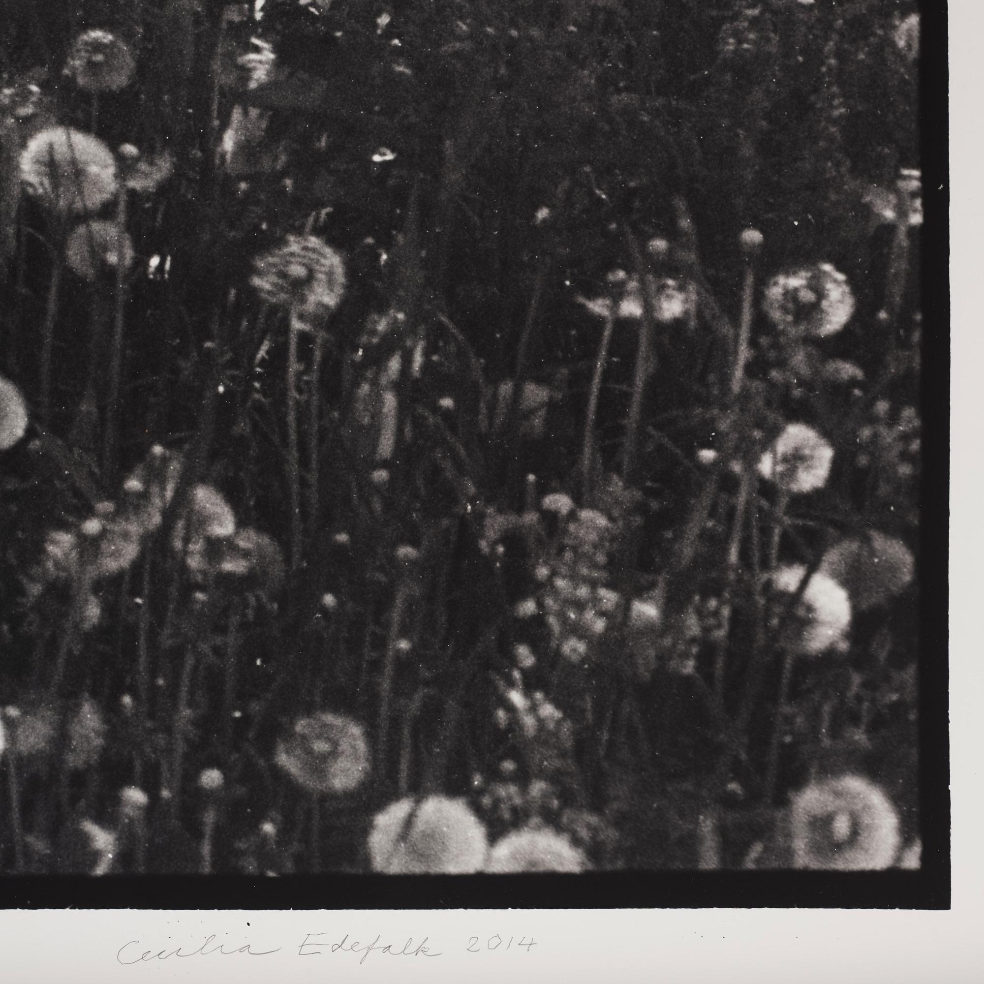 Cecilia Edefalk, "The Meadow", 2014.