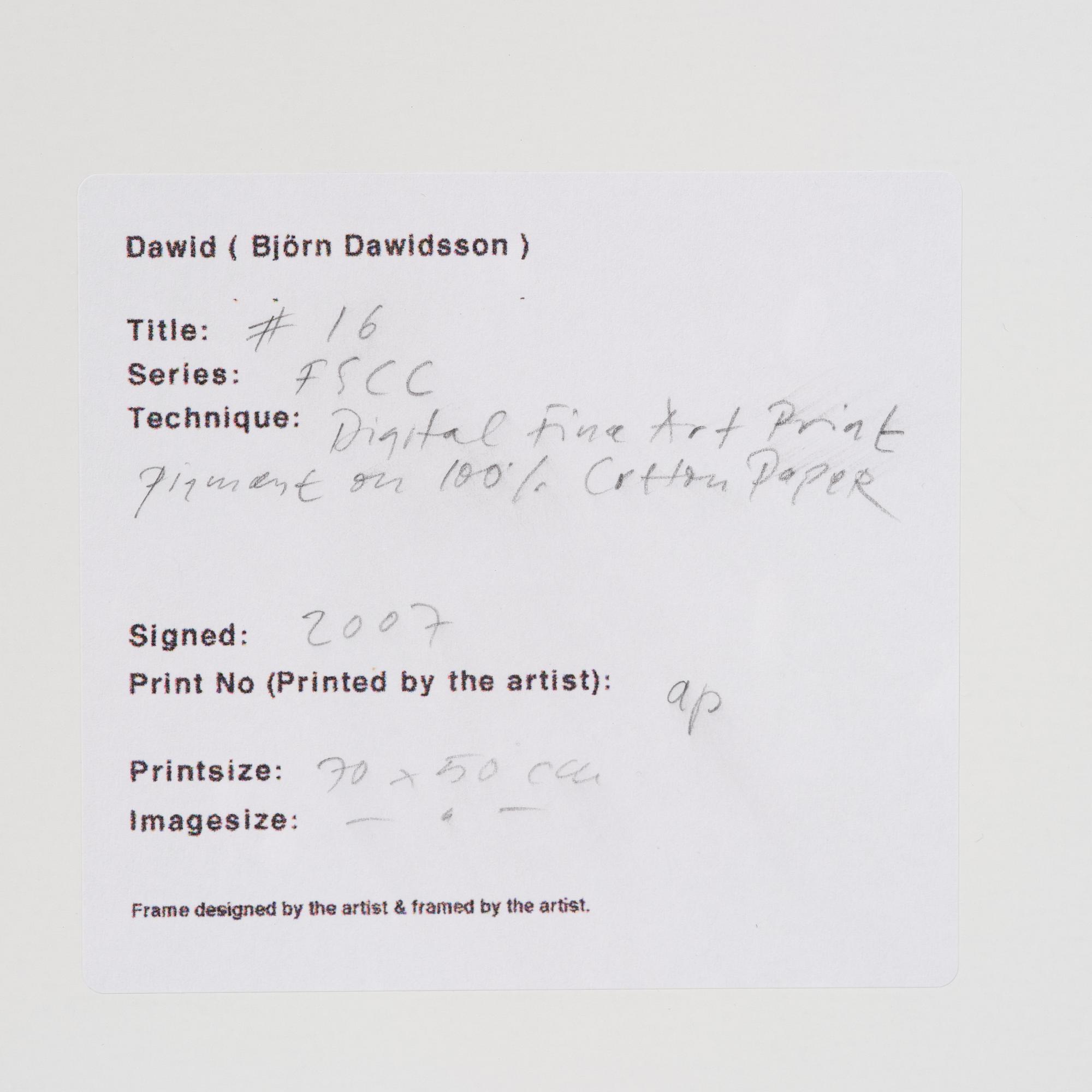 Dawid (Björn Dawidsson), "#16", from the series "FSCC".