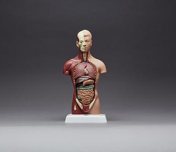 ANATOMISK MODELL, 1900-talet senare del.