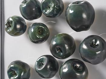 Annika Masolle, Untitled.