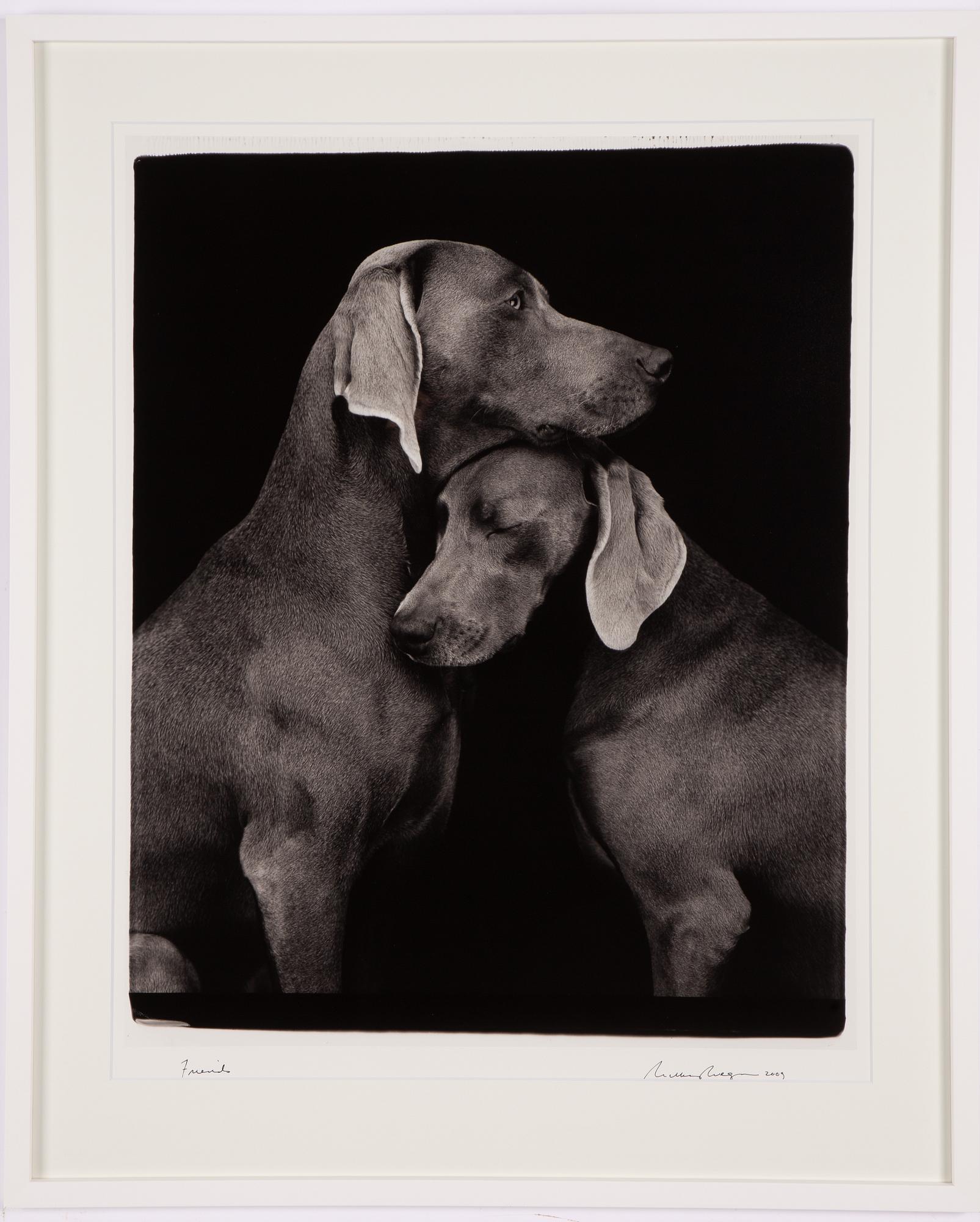 William Wegman, "Friends".