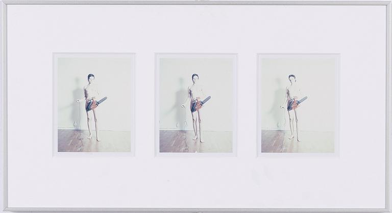 Annika Elisabeth von Hausswolff, "Det sista självporträttet".