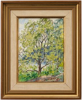 Olle Hjortzberg, Greenery.