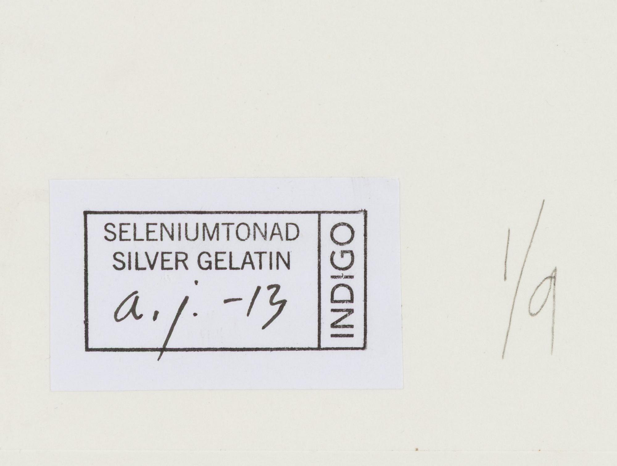 Lennart Nilsson,  "Isbjörnsjakt vid Hvitøya (Vitön), Svalbard, Norge 1947".