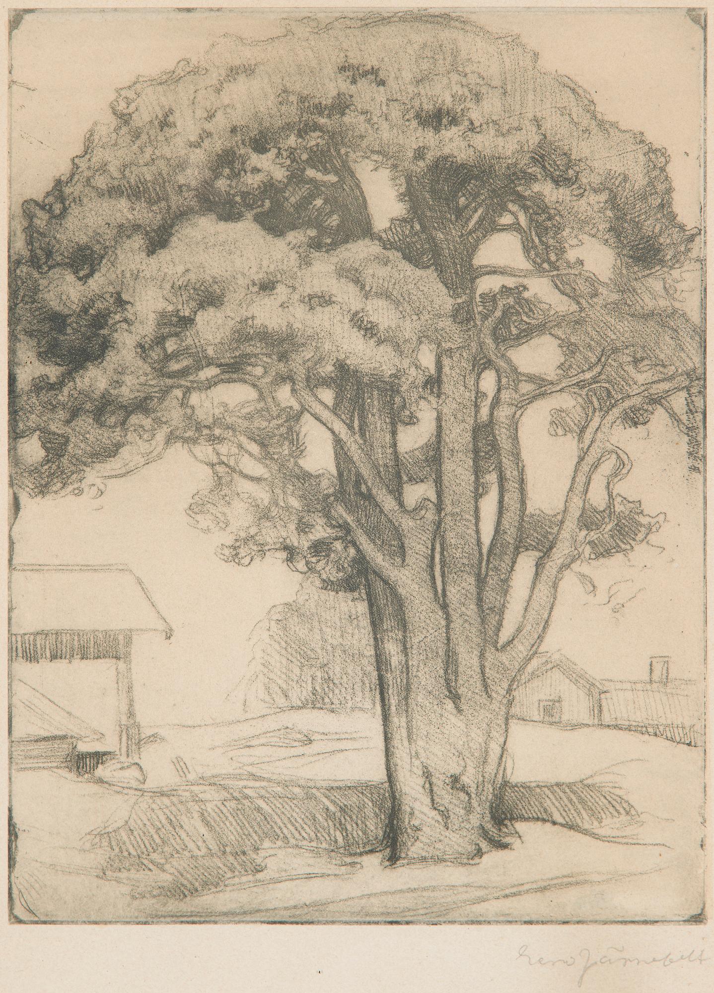 Eero Järnefelt, "Tuomalan mänty I".