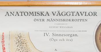 a poster, mid 20th century,