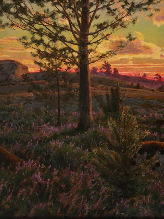 Johan Krouthén, "Ljungen" (Heather moorland).