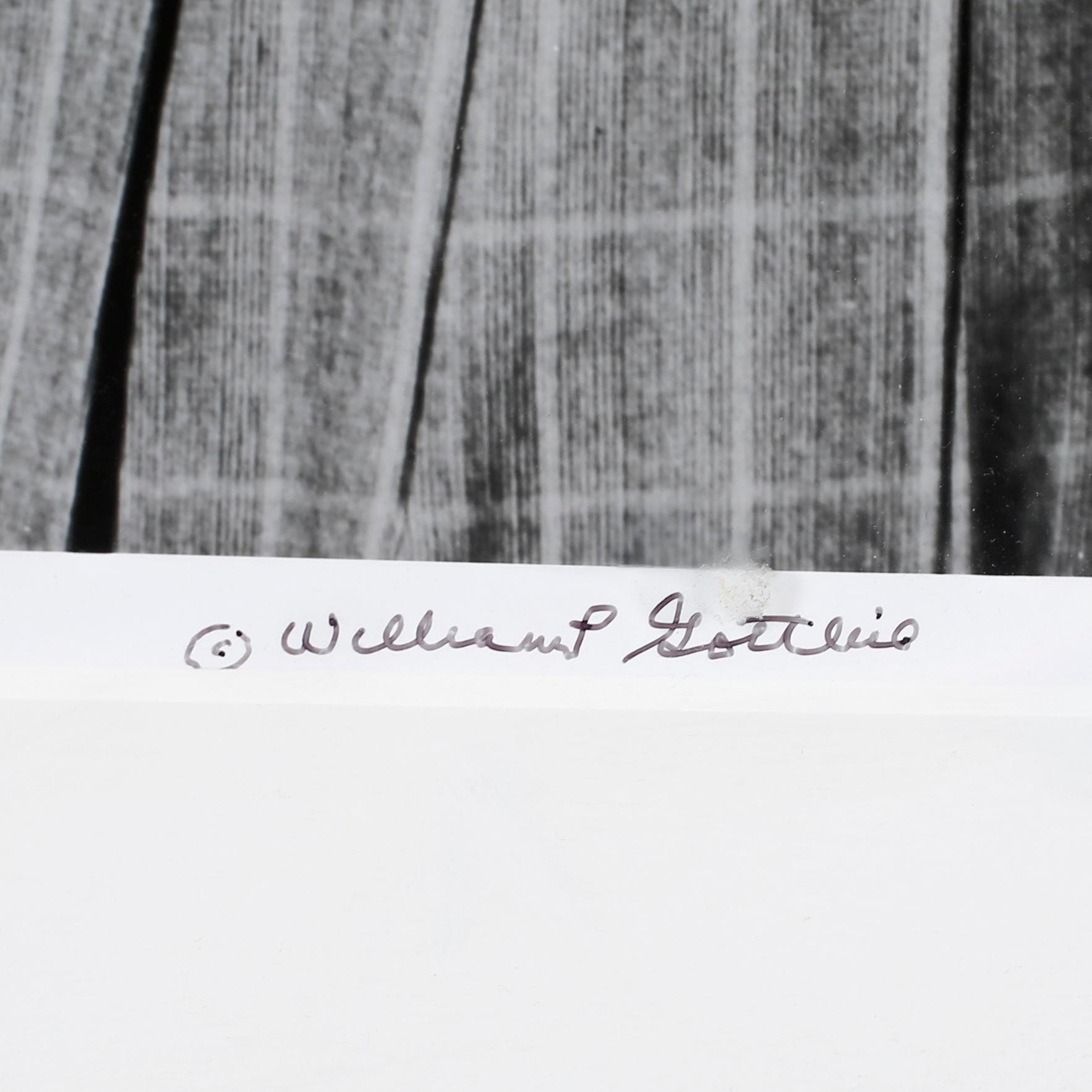 WILLIAM P. GOTTLIEB, photography, signed.