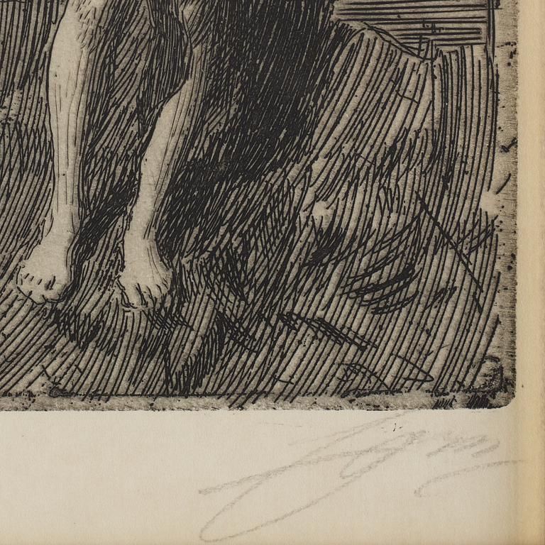 Anders Zorn, etching, 1901, signed in pencil.