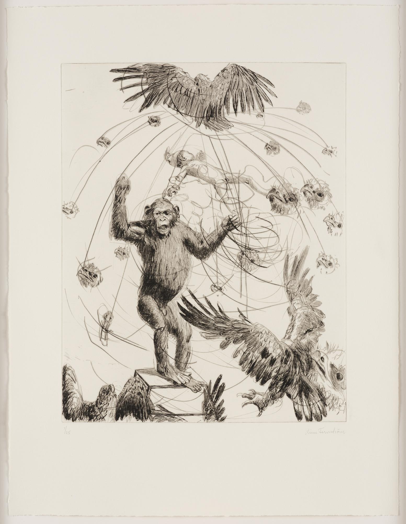 Linn Fernström, "Apursinne".