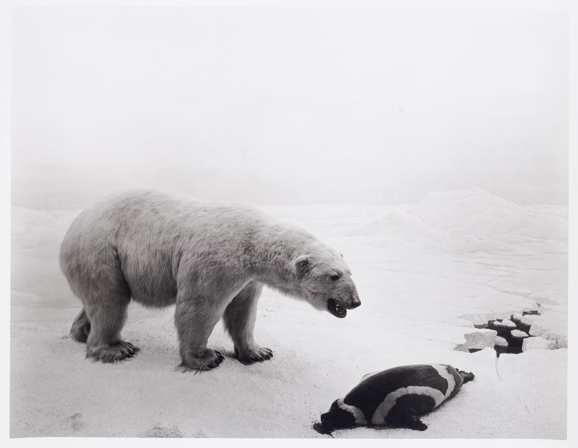 Hiroshi Sugimoto, digital print published by Gallery Koyanagi.