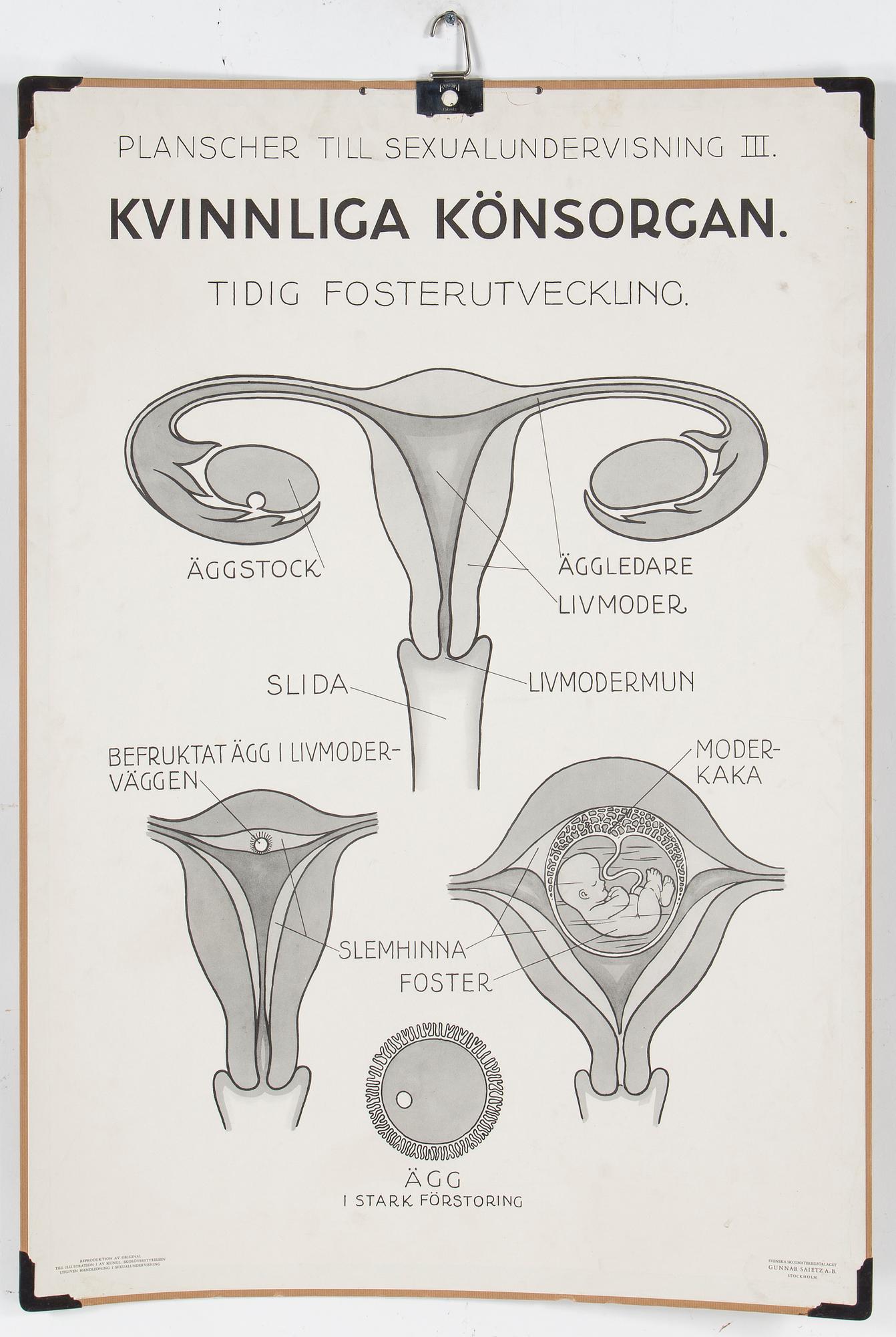 SKOLPLANSCHER, 4 st, 1900-talets mitt.