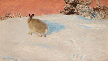 Bruno Liljefors, Hare on winter landscape.
