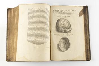 Andra och bästa upplagan av Vesalius’ anatomiska praktverk, 1555.