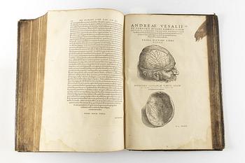 The second and best edition of Vesalius’ magnum opus, 1555.