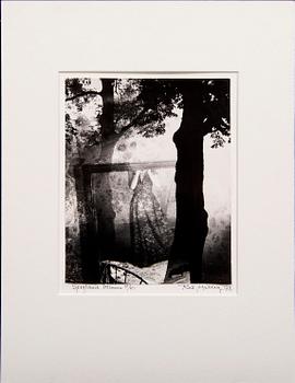 Rut Hillarp, photgraphic picture signed dated and numbered 4/1078.