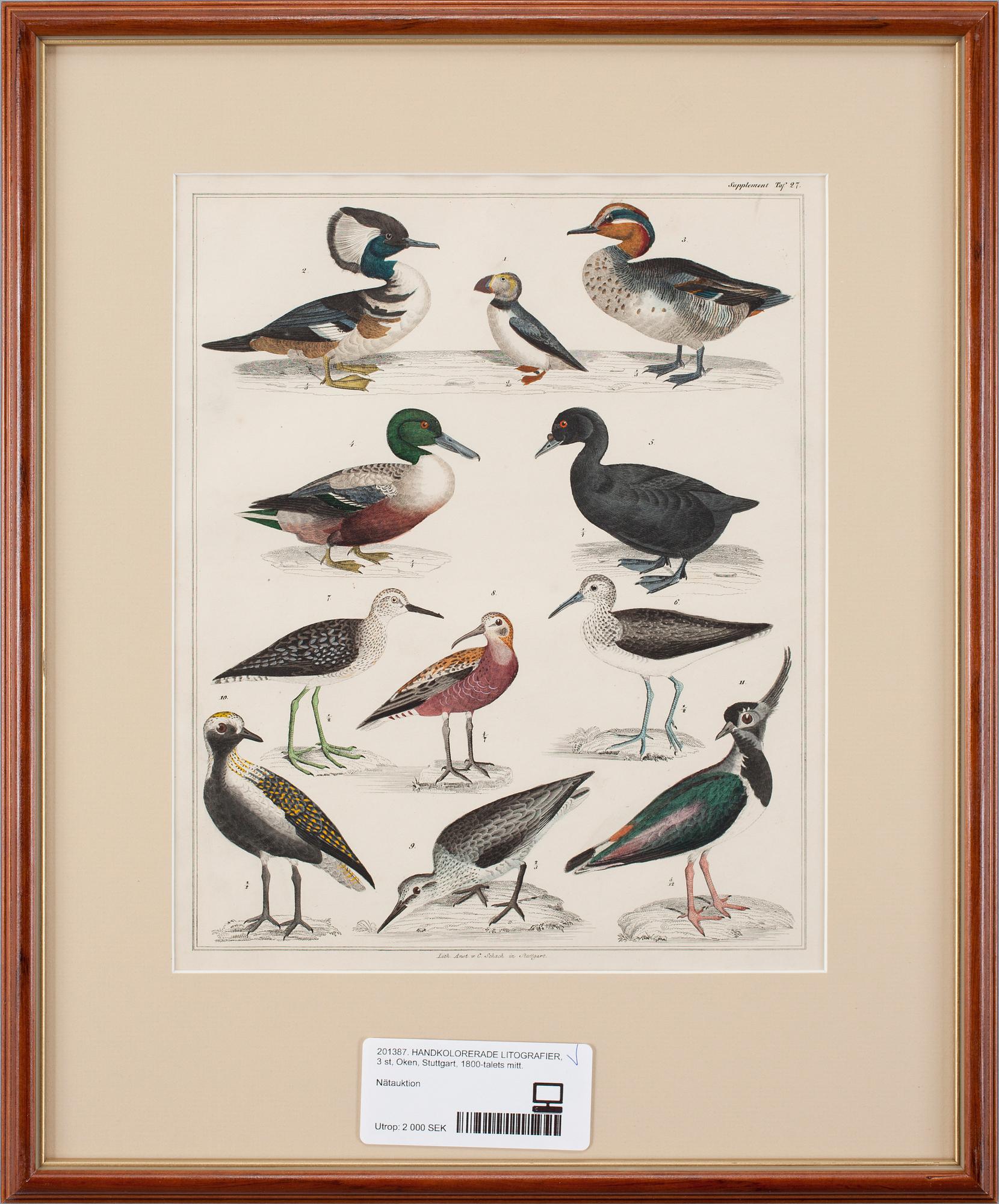 HANDKOLORERADE LITOGRAFIER, 3 st, Oken, Stuttgart, 1800-talets mitt.