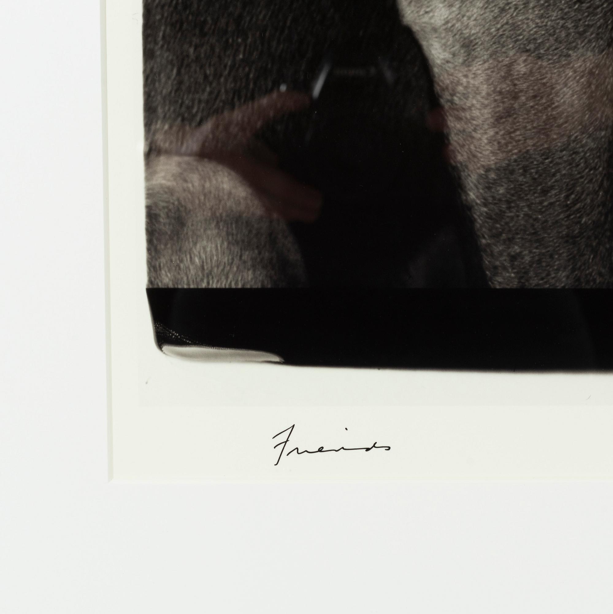 William Wegman, archival pigment print, 2009, signerat. Numrerat 251/1500 a tergo.